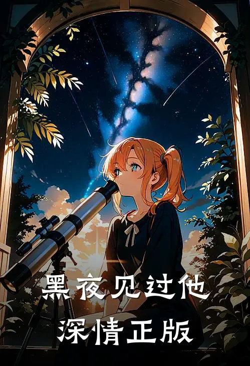 黑夜见过他深情正版