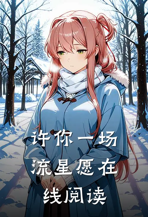 许你一场流星愿在线阅读