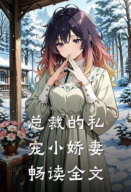 总裁的私宠小娇妻畅读全文