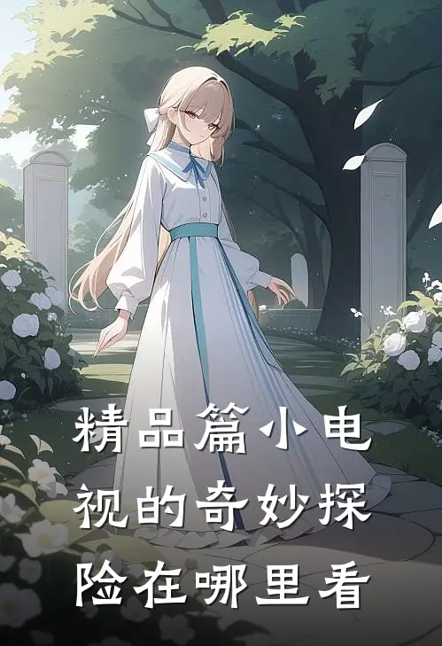 精品篇小电视的奇妙探险在哪里看