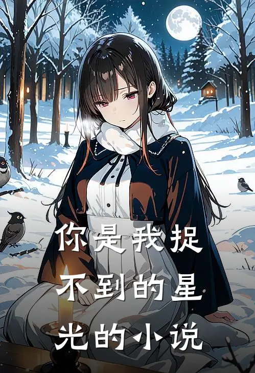 你是我捉不到的星光的小说