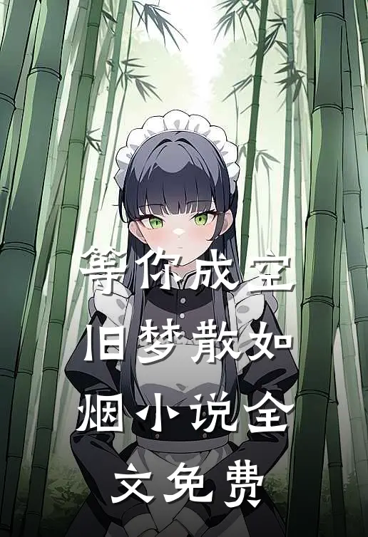 等你成空，旧梦散如烟小说全文免费