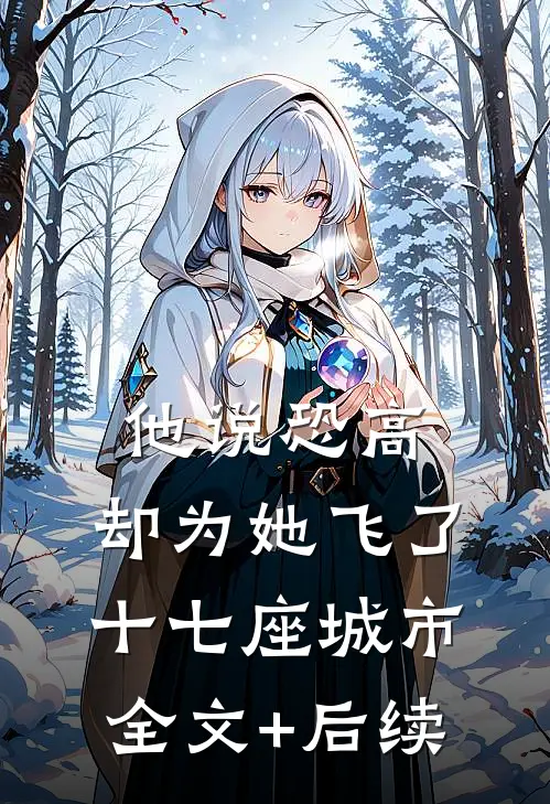他说恐高，却为她飞了十七座城市全文+后续