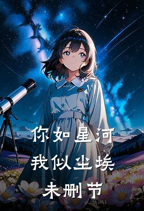 你如星河，我似尘埃未删节