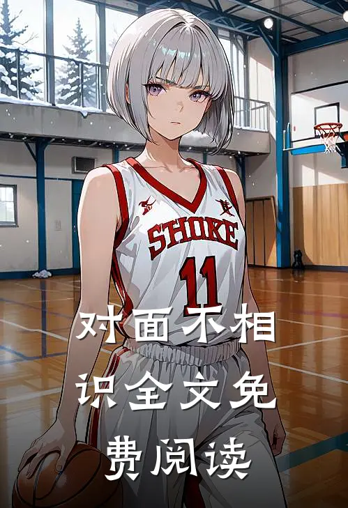 对面不相识全文免费阅读