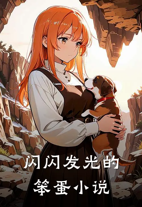 闪闪发光的笨蛋小说