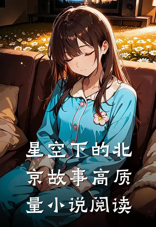 星空下的北京故事高质量小说阅读