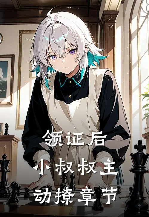 领证后，小叔叔主动撩章节