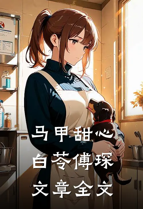 马甲甜心白苓傅琛文章全文