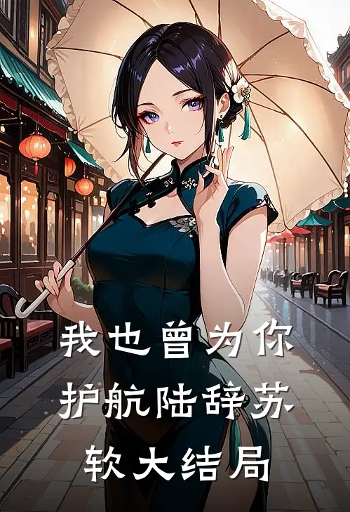 我也曾为你护航陆辞苏软大结局