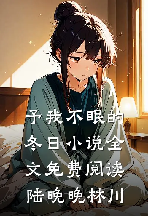 予我不眠的冬日小说全文免费阅读陆晚晚林川