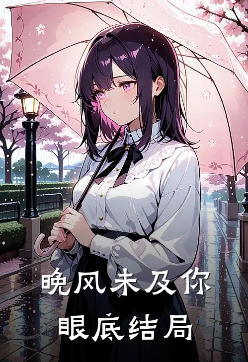 晚风未及你眼底结局