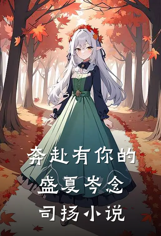 奔赴有你的盛夏岑念司扬小说