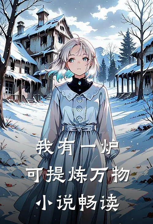 我有一炉，可提炼万物小说畅读