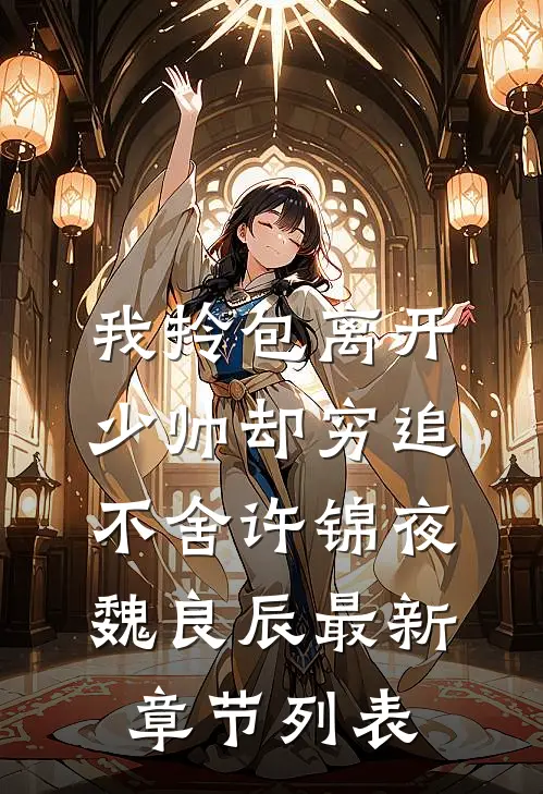 我拎包离开，少帅却穷追不舍许锦夜魏良辰最新章节列表