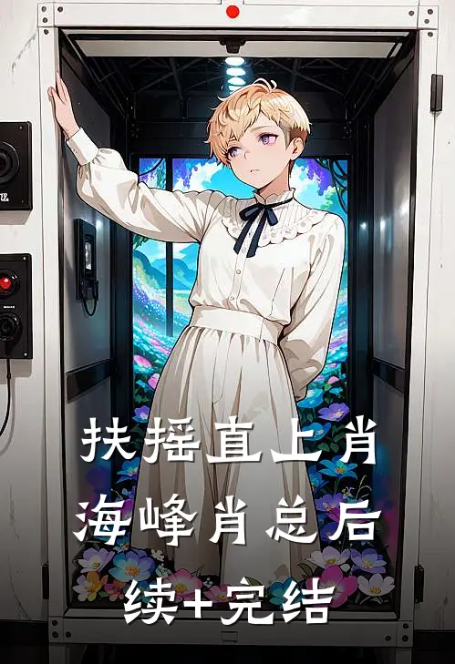 扶摇直上肖海峰肖总后续+完结