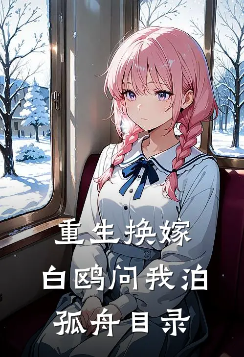 重生换嫁，白鸥问我泊孤舟目录
